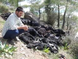 Bozyaz'da Keilere Yldrm arpt